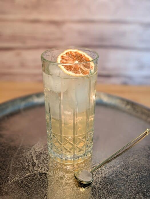 A cocktail in a Colling glass with a dried lemon on top